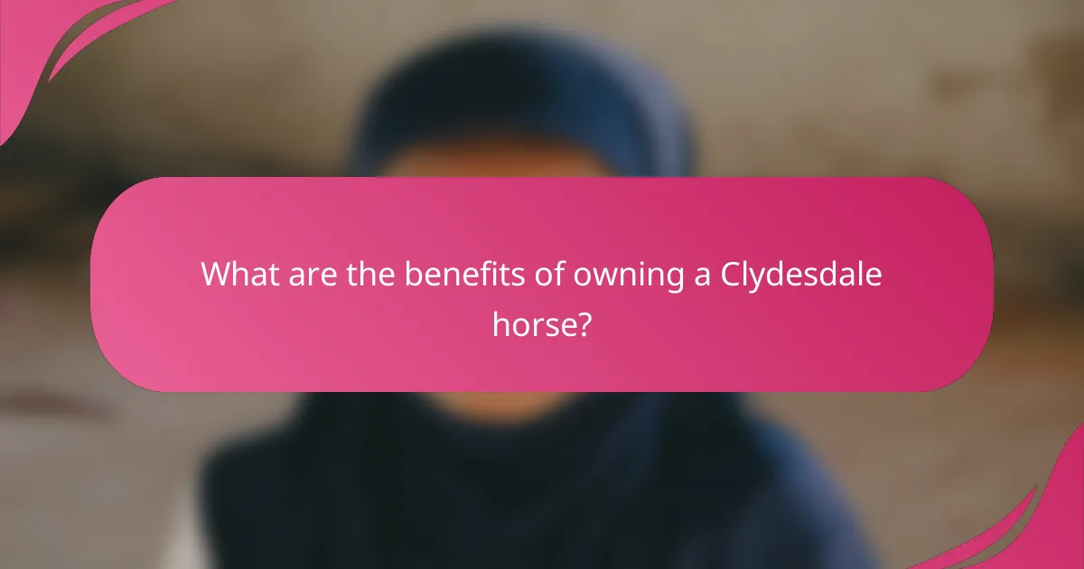 What are the benefits of owning a Clydesdale horse?