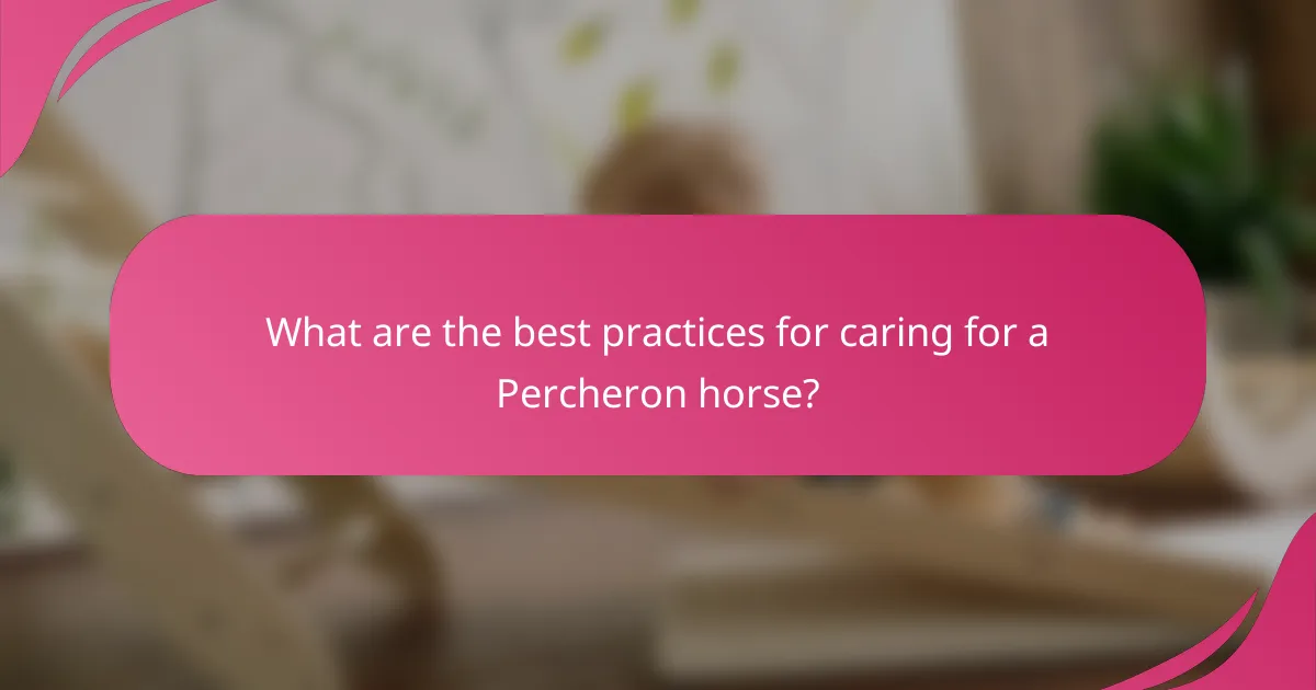 What are the best practices for caring for a Percheron horse?