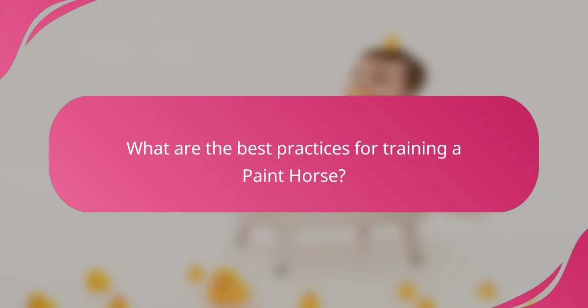 What are the best practices for training a Paint Horse?