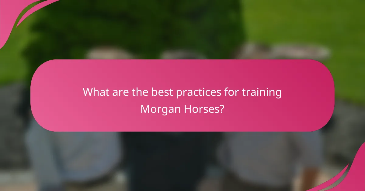 What are the best practices for training Morgan Horses?