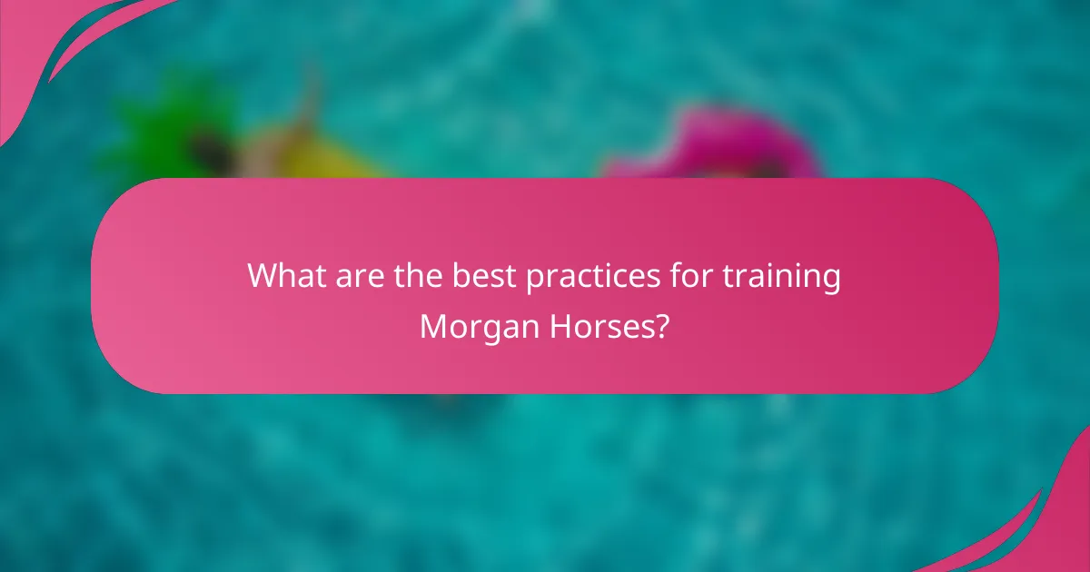 What are the best practices for training Morgan Horses?