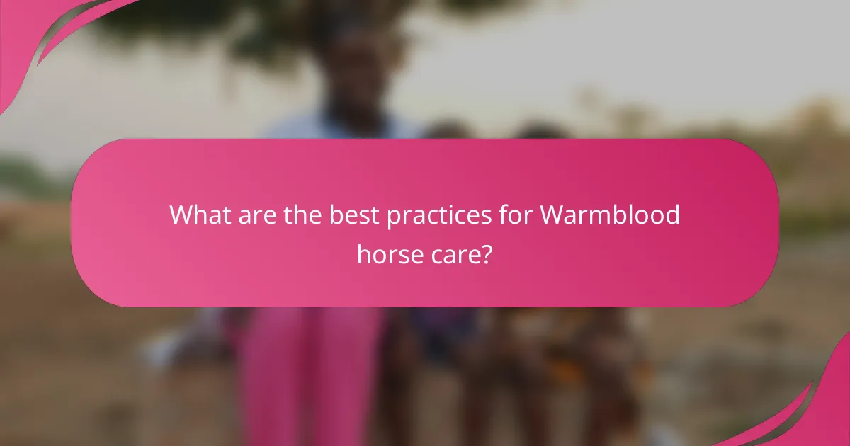 What are the best practices for Warmblood horse care?
