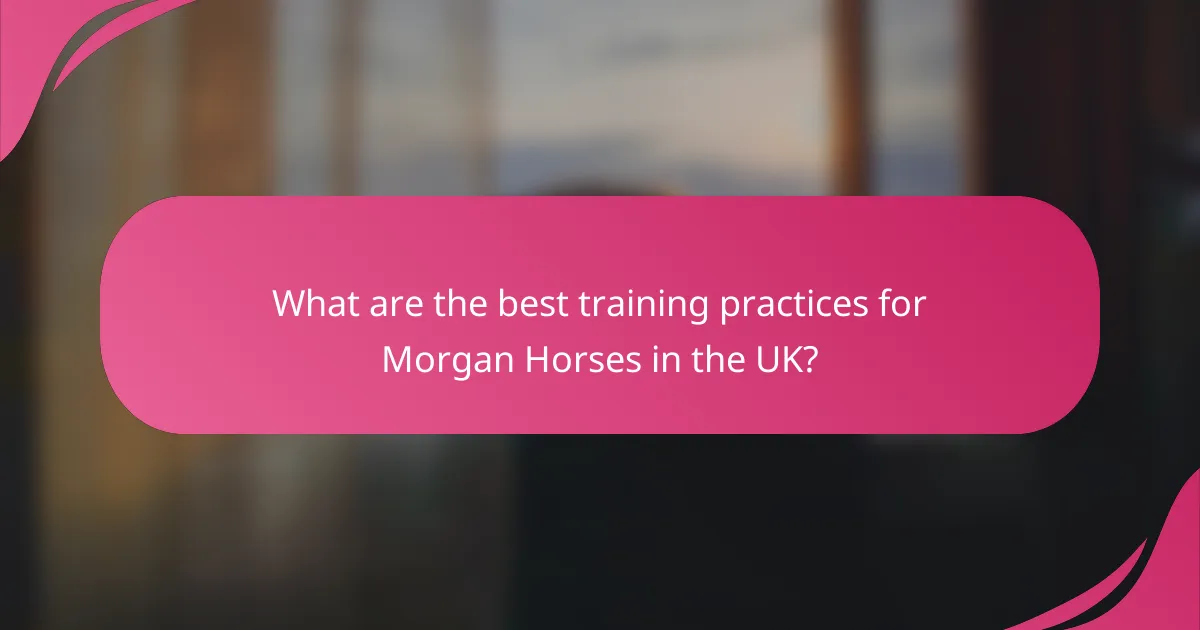 What are the best training practices for Morgan Horses in the UK?