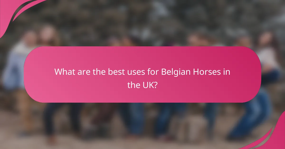What are the best uses for Belgian Horses in the UK?
