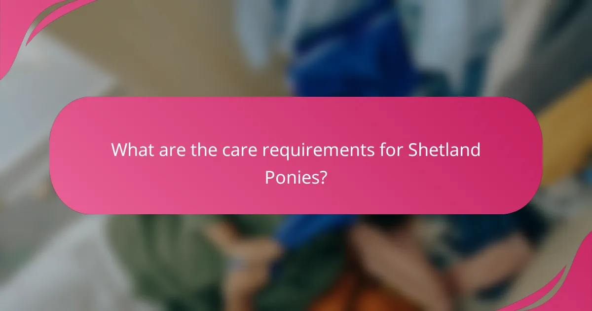 What are the care requirements for Shetland Ponies?