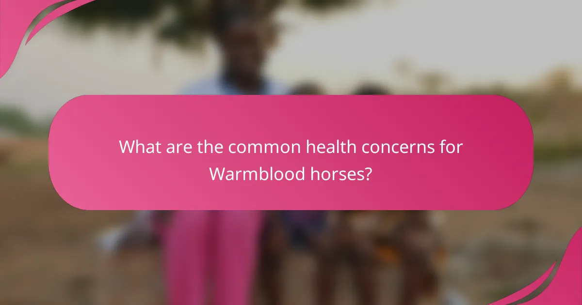 What are the common health concerns for Warmblood horses?
