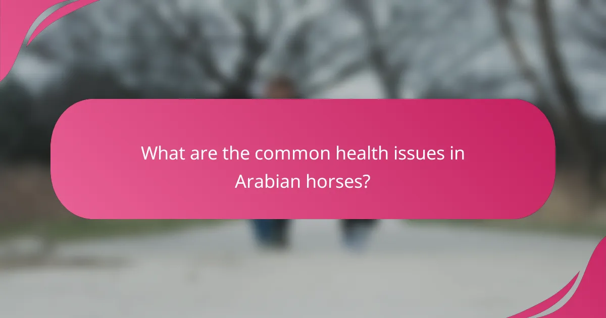 What are the common health issues in Arabian horses?