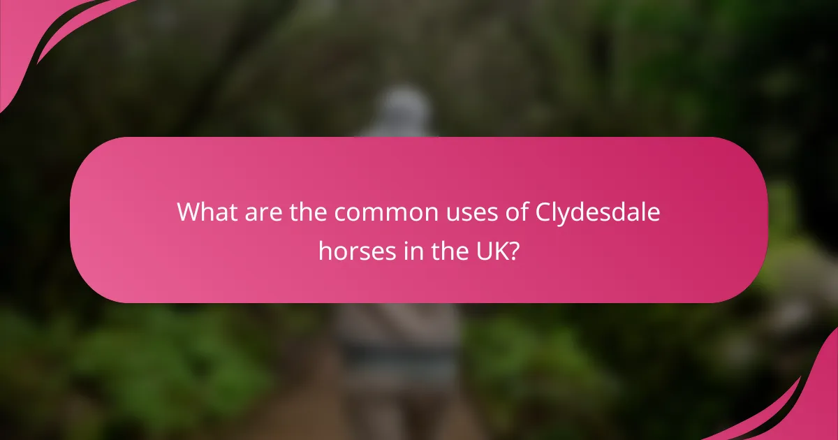 What are the common uses of Clydesdale horses in the UK?