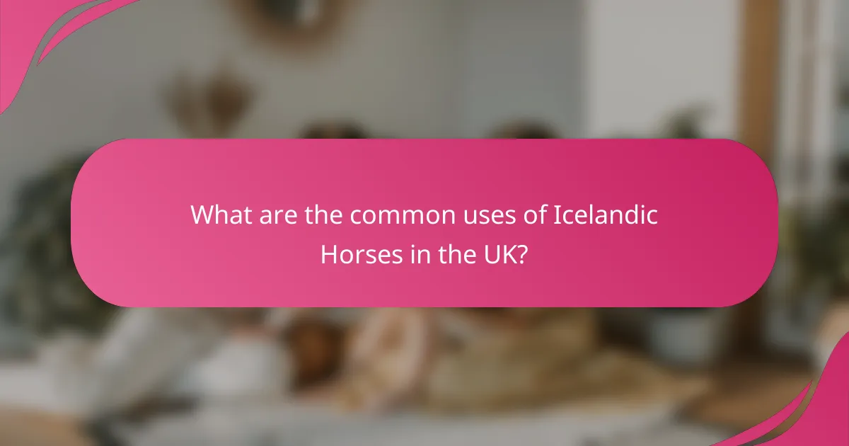 What are the common uses of Icelandic Horses in the UK?