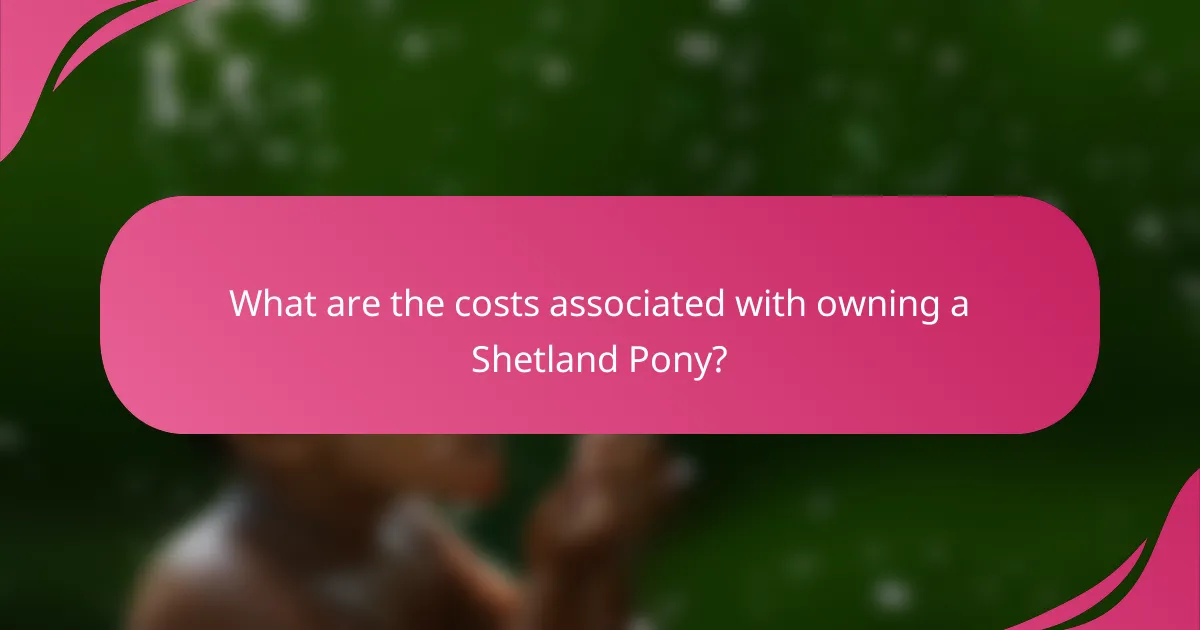What are the costs associated with owning a Shetland Pony?