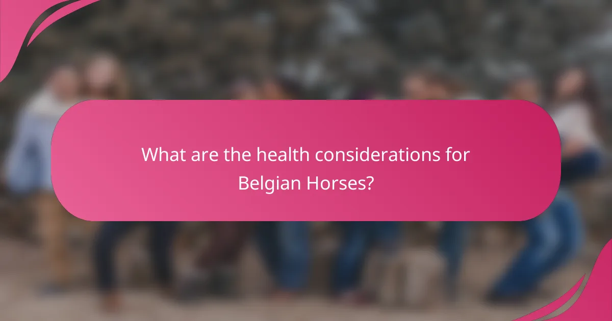 What are the health considerations for Belgian Horses?