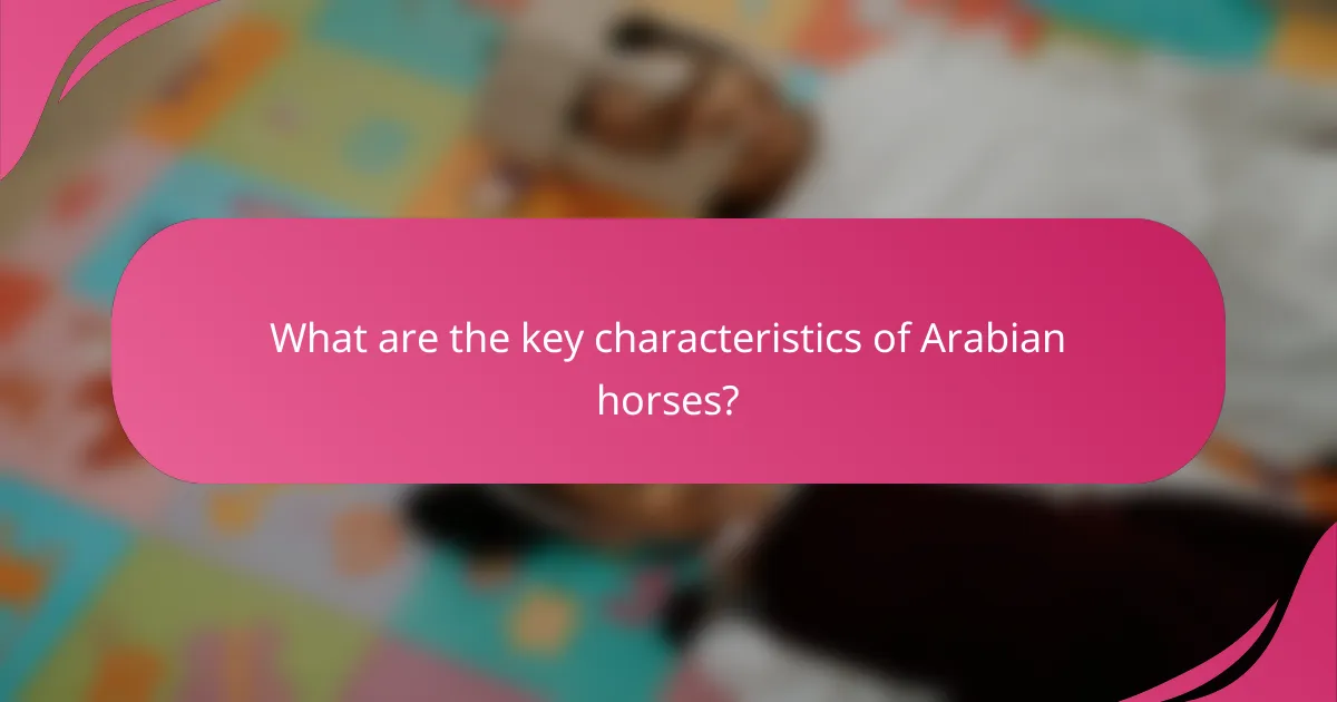 What are the key characteristics of Arabian horses?