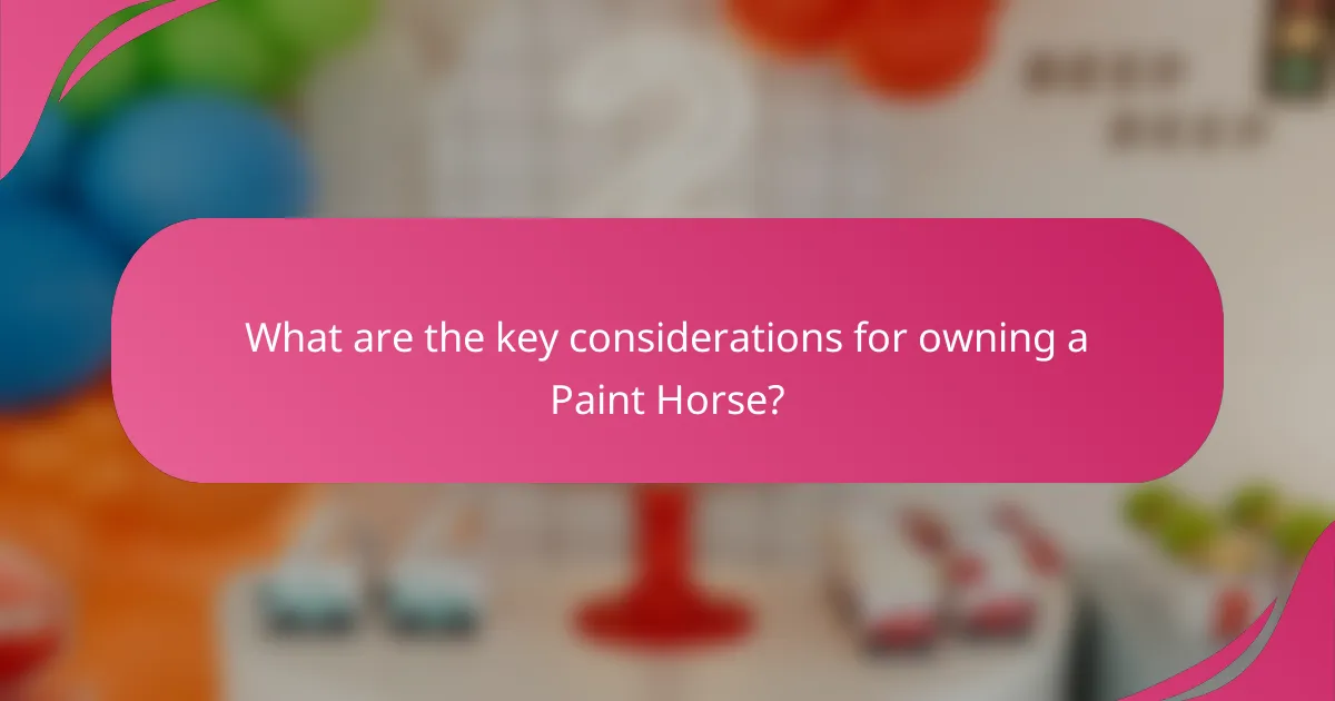 What are the key considerations for owning a Paint Horse?