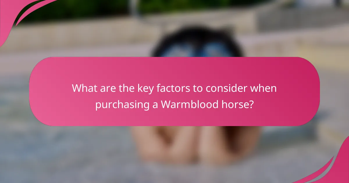 What are the key factors to consider when purchasing a Warmblood horse?