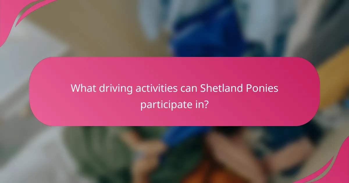 What driving activities can Shetland Ponies participate in?