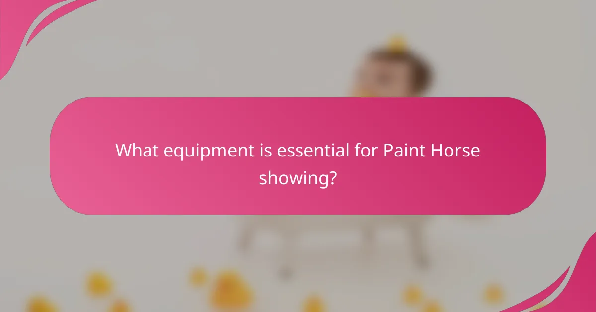 What equipment is essential for Paint Horse showing?