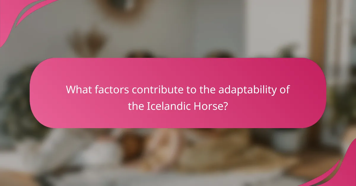 What factors contribute to the adaptability of the Icelandic Horse?