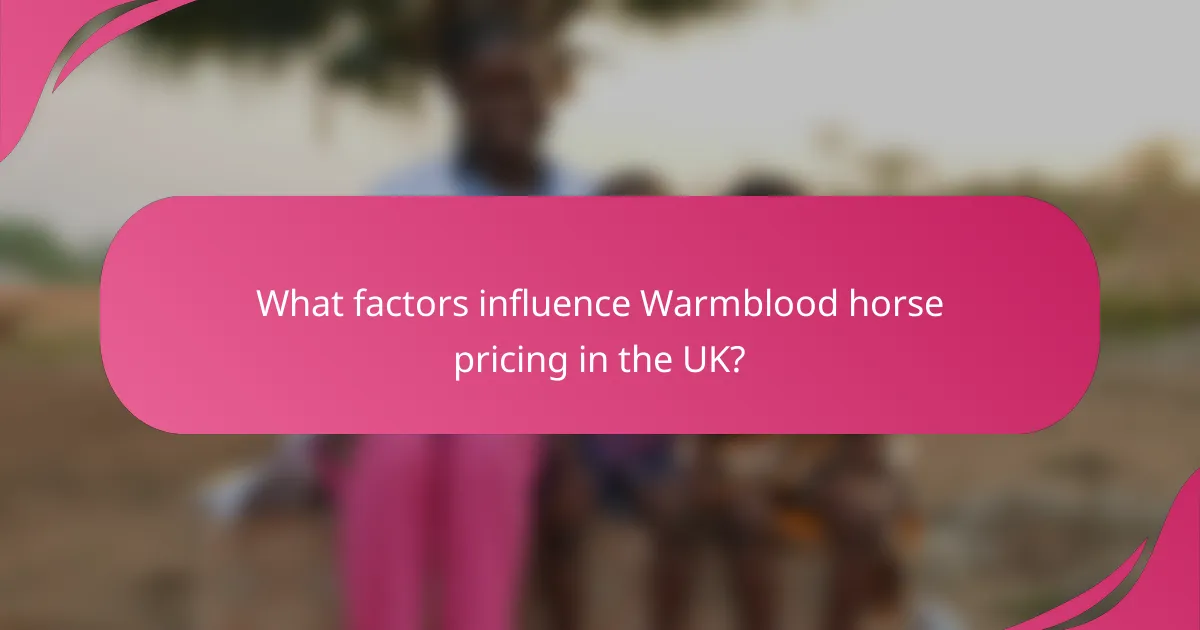 What factors influence Warmblood horse pricing in the UK?