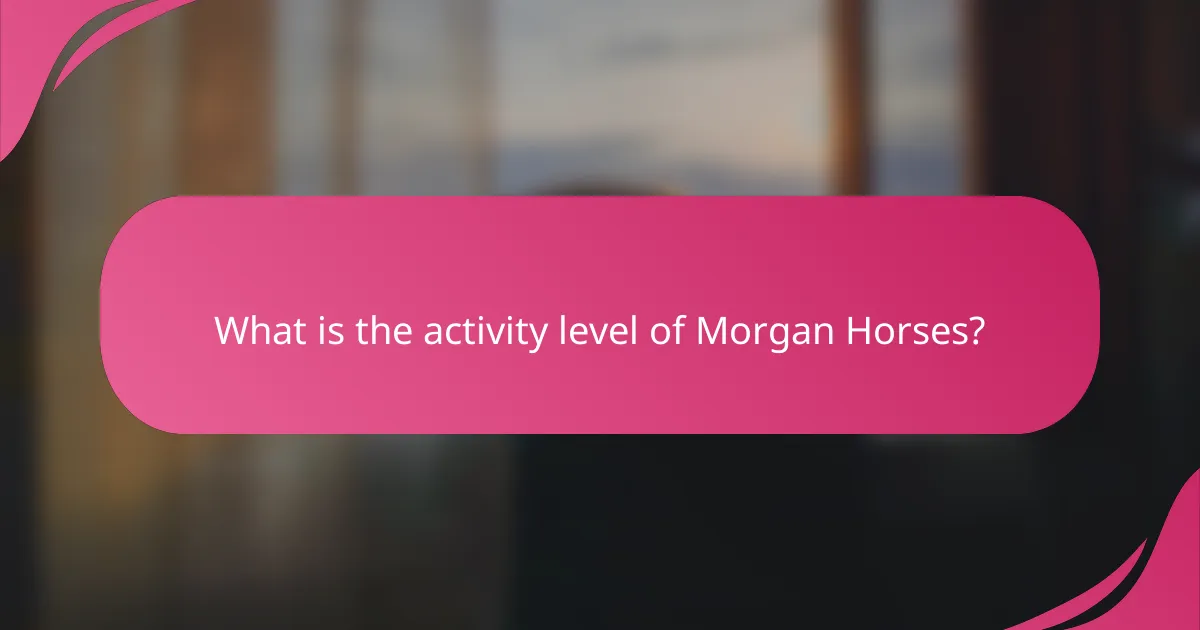 What is the activity level of Morgan Horses?