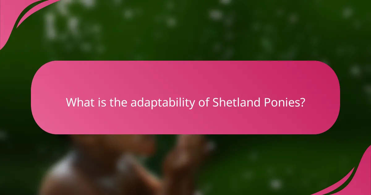 What is the adaptability of Shetland Ponies?