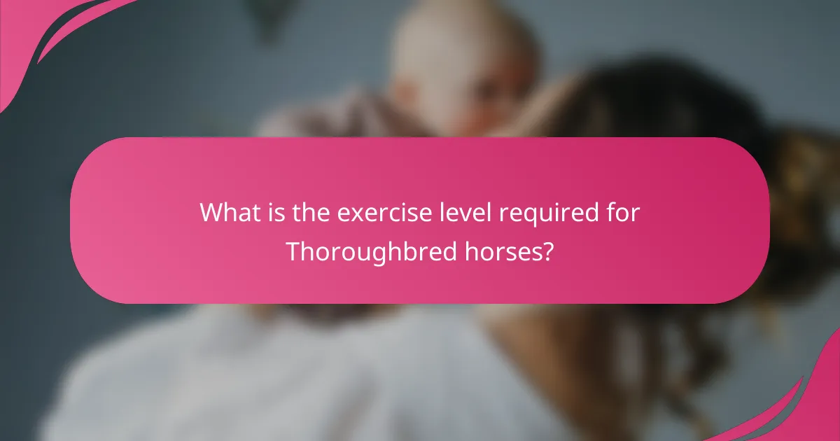 What is the exercise level required for Thoroughbred horses?