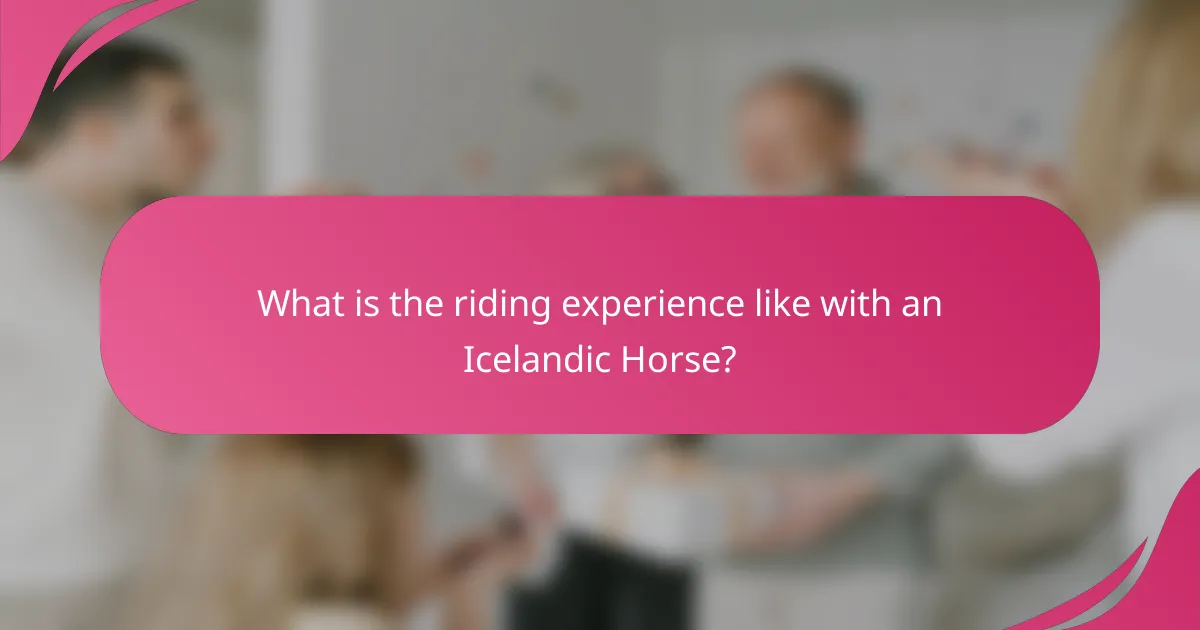 What is the riding experience like with an Icelandic Horse?