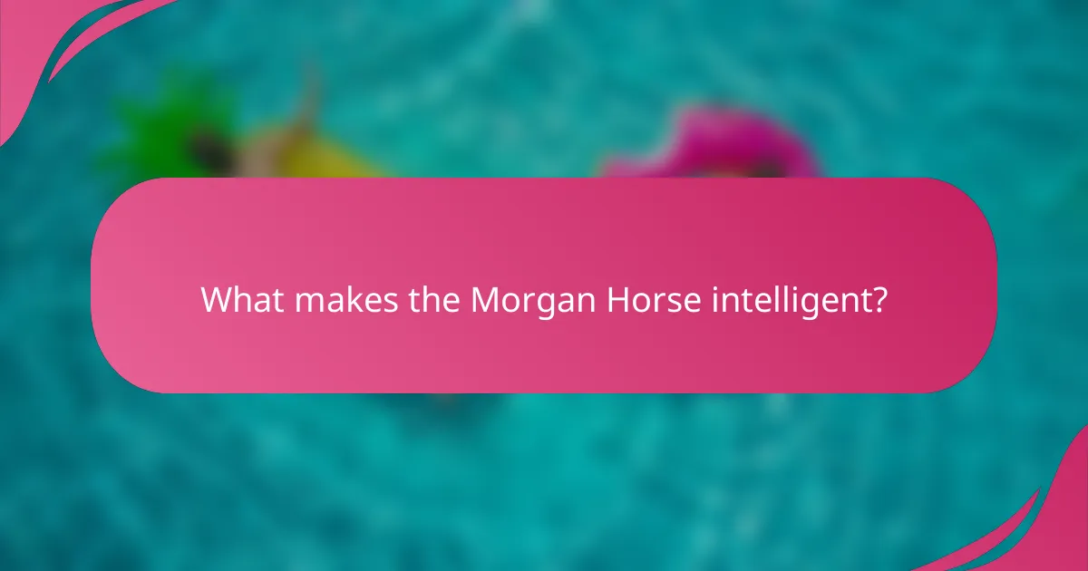 What makes the Morgan Horse intelligent?