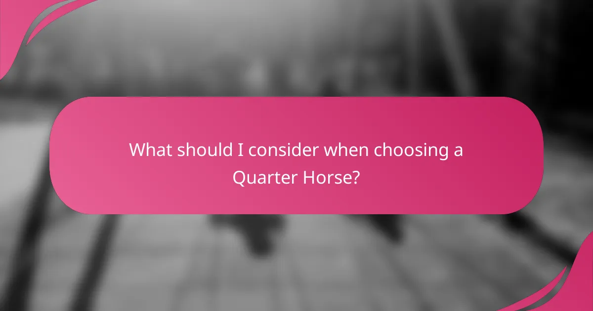 What should I consider when choosing a Quarter Horse?