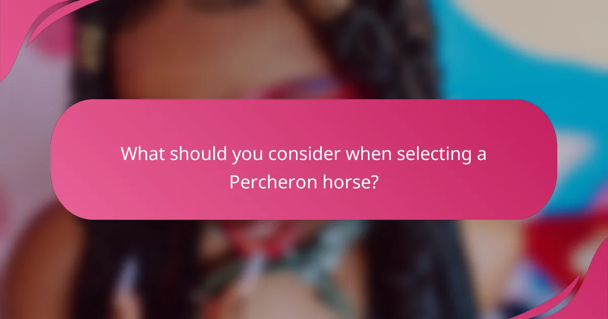 What should you consider when selecting a Percheron horse?