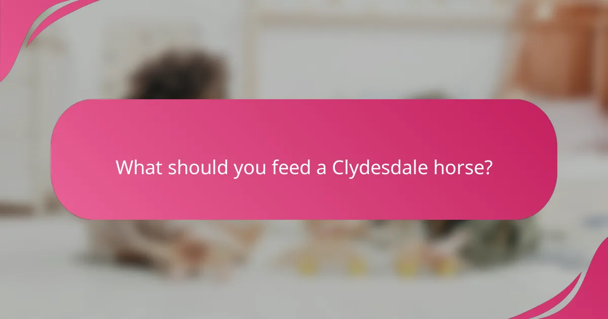 What should you feed a Clydesdale horse?