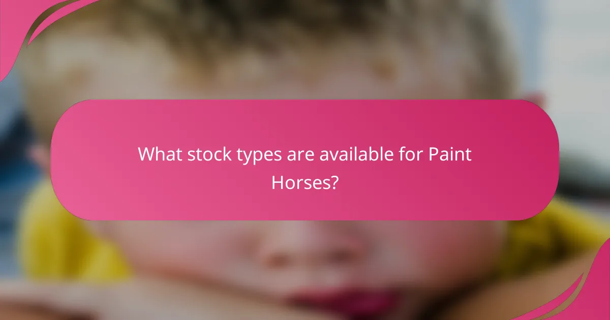 What stock types are available for Paint Horses?