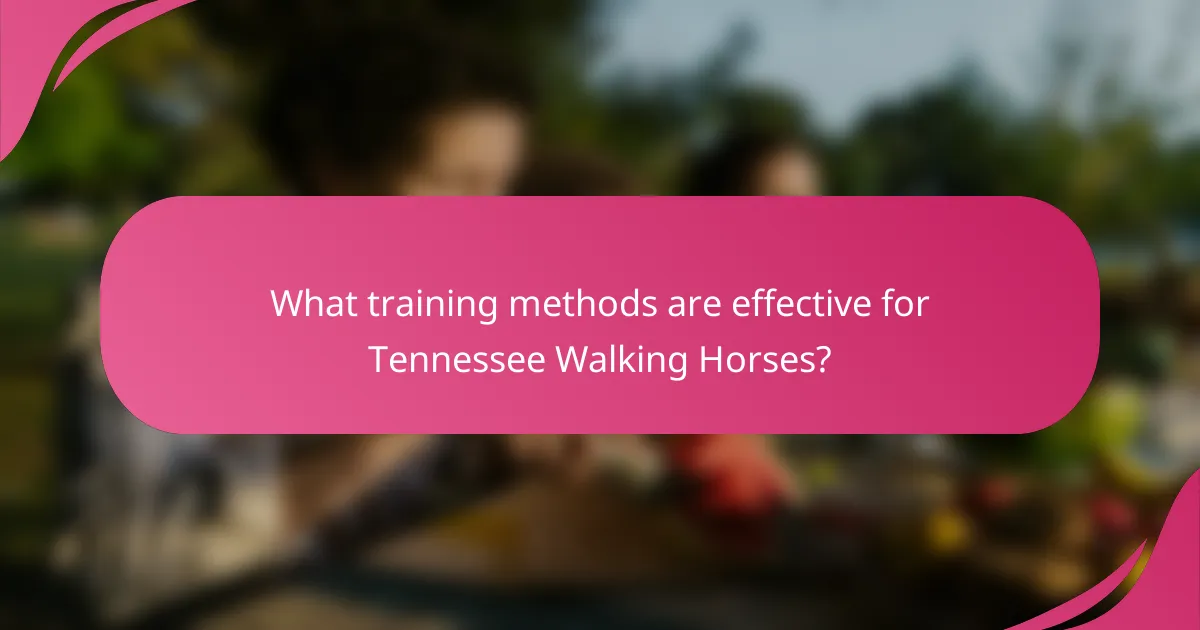 What training methods are effective for Tennessee Walking Horses?