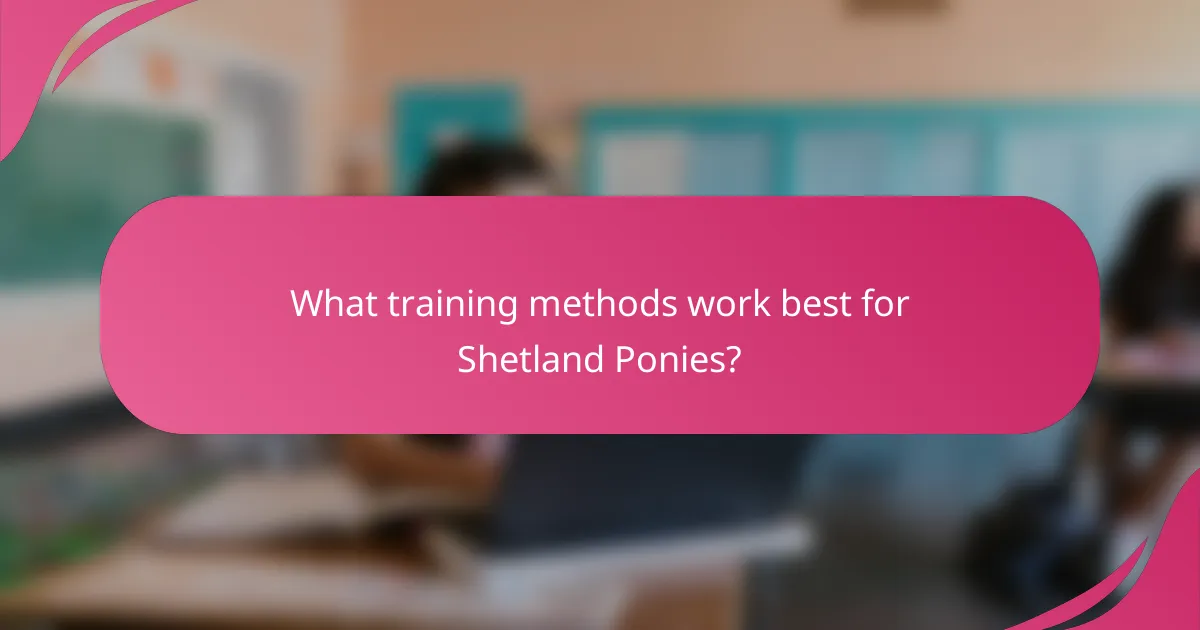 What training methods work best for Shetland Ponies?