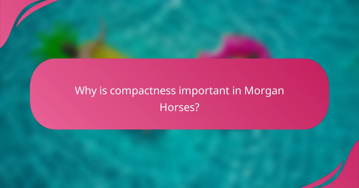 Why is compactness important in Morgan Horses?